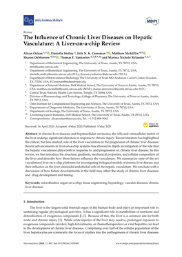 The Influence of Chronic Liver Diseases on Hepatic Vasculature