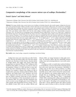 Comparative Morphology of the Concave Mirror Eyes of Scallops (Pectinoidea)*