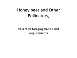 Honey Bees and Other Pollinators