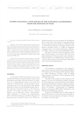 Euspira Magenesi, a Ne\T Species of the Naticidae (Gastropoda) from the Pliocene of Italy