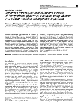 Enhanced Intracellular Availability and Survival of Hammerhead Ribozymes Increases Target Ablation in a Cellular Model of Osteogenesis Imperfecta