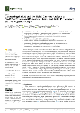 Genome Analysis of Phyllobacterium and Rhizobium Strains and Field Performance on Two Vegetable Crops