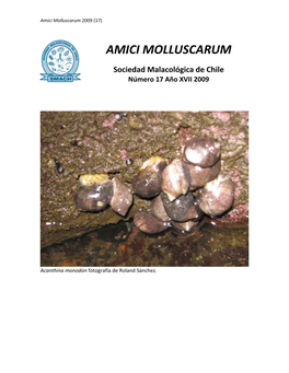 AMICI MOLLUSCARUM Sociedad Malacológica De Chile Número 17