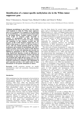 Identification of a Tumor-Specific Methylation Site in the Wilms Tumor