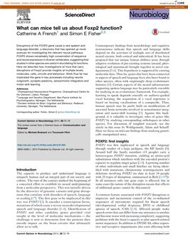 What Can Mice Tell Us About Foxp2 Function?