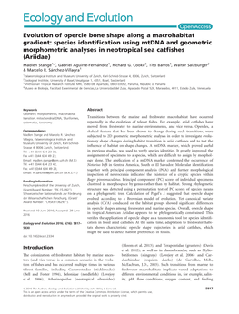 Evolution of Opercle Bone Shape Along a Macrohabitat Gradient