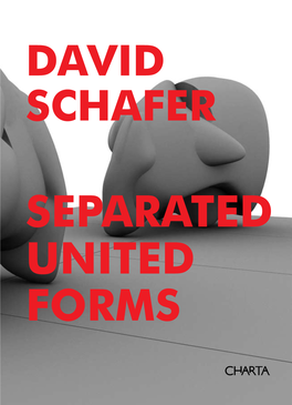 Multiple Choice: on Separated United Forms by David Schafer