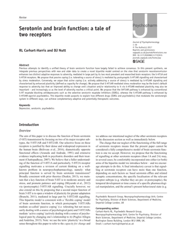 Serotonin and Brain Function: a Tale of Two Receptors