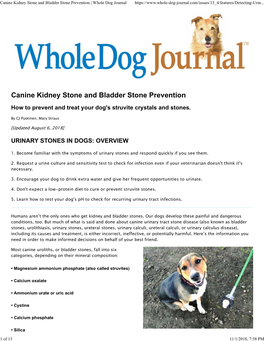 Canine Kidney Stone and Bladder Stone Prevention | Whole Dog Journal