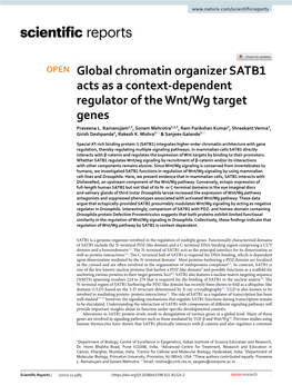 Global Chromatin Organizer SATB1 Acts As a Context-Dependent