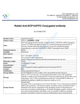 Rabbit Anti-DCP1A/FITC Conjugated Antibody