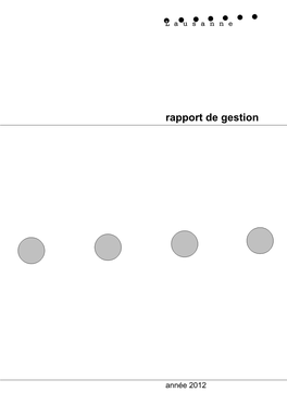 Rapport De Gestion