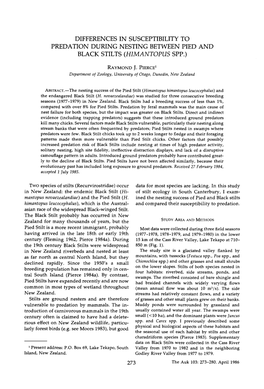 Differences in Susceptibility to Predation During Nesting Between Pied and Black Stilts (Himantopus Spp.)