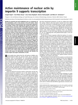 Active Maintenance of Nuclear Actin by Importin 9 Supports Transcription