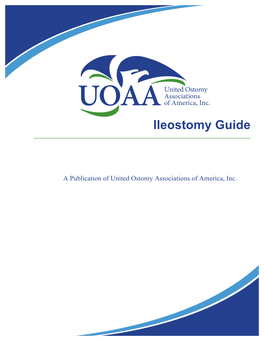 Ileostomy Guide