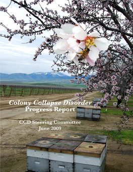 Colony Collapse Disorder Progress Report