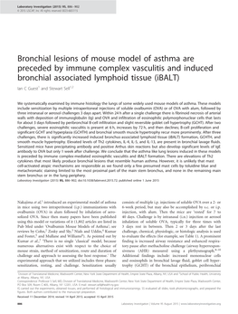 Bronchial Lesions of Mouse Model of Asthma Are Preceded by Immune