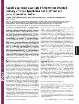 Kaposi's Sarcoma-Associated Herpesvirus-Infected Primary