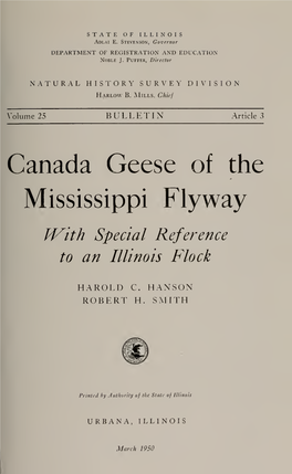 Canada Geese of the Mississippi Flyway