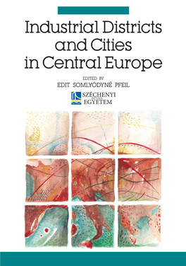 Industrial Districts and Cities in Central Europe