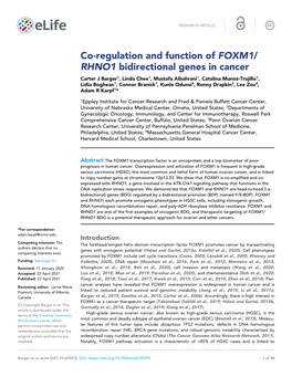 RHNO1 Bidirectional Genes in Cancer