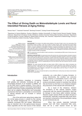 The Effect of Giving Dadih on Malondialdehyde Levels and Renal Interstitial Fibrosis at Aging Kidney