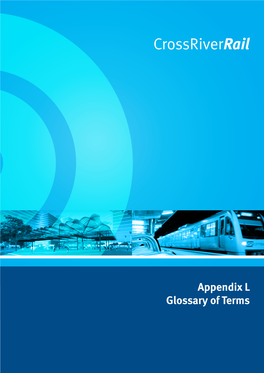 Appendix L Glossary of Terms