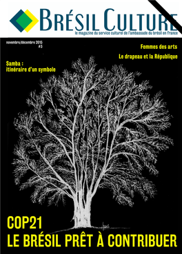 BRESIL CULTURE MAGAZINE NOVEMBRE DECEMBRE 2015.Pdf