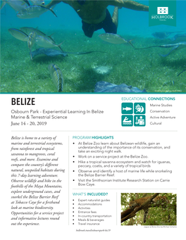 Belize Barrier Reef by Steffi Lopez