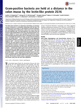 Gram-Positive Bacteria Are Held at a Distance in the Colon Mucus by the Lectin-Like Protein ZG16