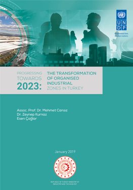 The Transformation of Organised Industrial Zones in Turkey Executive Summary