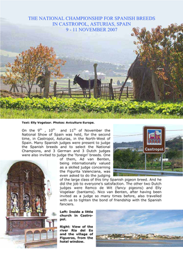 The National Championship for Spanish Breeds in Castropol, Asturias, Spain 9 - 11 November 2007