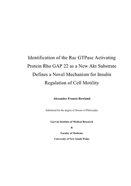 Identification of the Rac Gtpase Activating Protein Rho GAP 22 As a New Akt Substrate Defines a Novel Mechanism for Insulin Regulation of Cell Motility