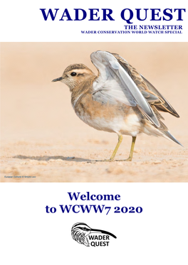 WCWW Newsletter Special