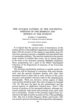 The Nuclear Pattern of the Nok-Tectal Portions of the Midbrain and Isthmus in the Opossum