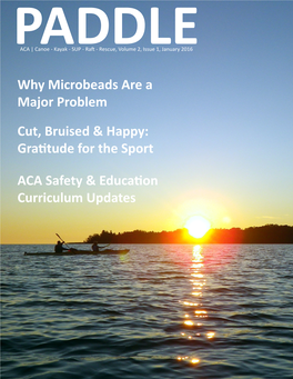 ACA Safety & Education Curriculum Updates Cut, Bruised & Happy