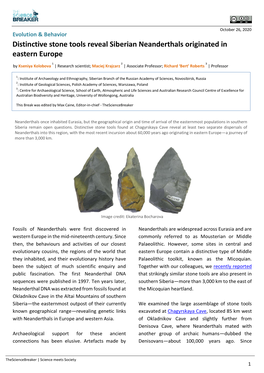 Distinctive Stone Tools Reveal Siberian Neanderthals Originated in Eastern Europe