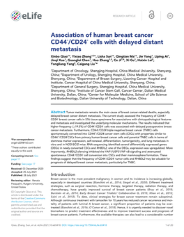 Association of Human Breast Cancer CD44 /CD24 Cells with Delayed Distant Metastasis