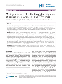 Meningeal Defects Alter the Tangential Migration Of