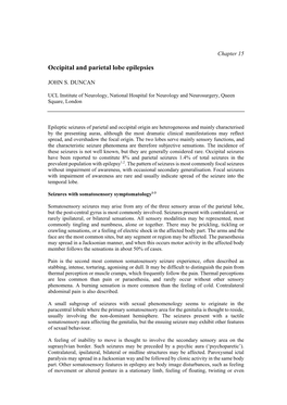 Occipital and Parietal Lobe Epilepsies