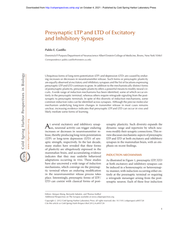 Presynaptic LTP and LTD of Excitatory and Inhibitory Synapses