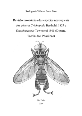 Revisão Taxonômica Das Espécies Neotropicais Dos Gêneros Trichopoda Berthold, 1827 E Ectophasiopsis Townsend 1915 (Diptera, Tachinidae, Phasiinae)