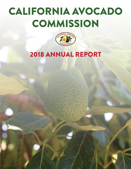 CAC Annual Report 2018