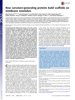 How Curvature-Generating Proteins Build Scaffolds on Membrane Nanotubes