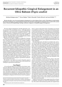 Recurrent Idiopathic Gingival Enlargement in an Olive Baboon (Papio Anubis)