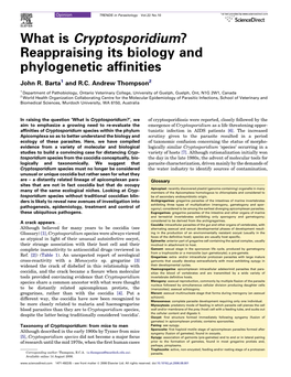 What Is Cryptosporidium? Reappraising Its Biology and Phylogenetic Afﬁnities