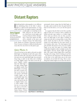 Distant Raptors