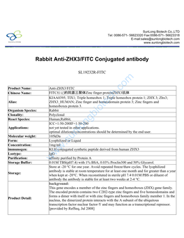 Rabbit Anti-ZHX3/FITC Conjugated Antibody