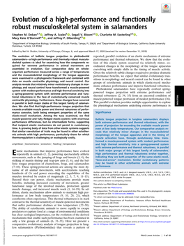 Evolution of a High-Performance and Functionally Robust Musculoskeletal System in Salamanders