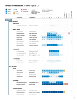 Florida's Shorebirds and Seabirds- Species List